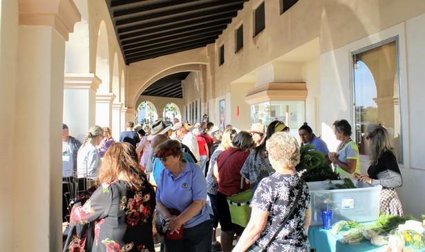A weekend market in Ajo, Arizona, in 2015, back when people were encouraged to congregate.