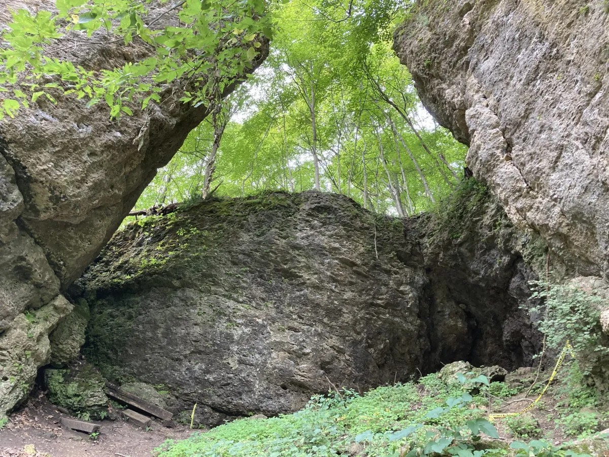 The Comic Gallery climbing area at Pictured Rocks County Park in Indiana before the trail project in July 2022. (Photo by John Klein/Jones County Conservation)