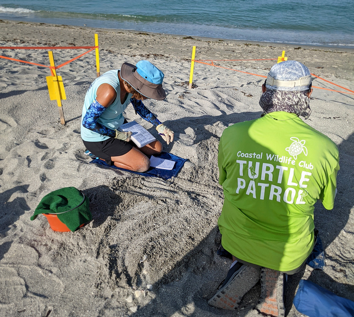 Two members of the Turtle Patrol at Manasota Key, Florida work on the beach on a turtle nest site.