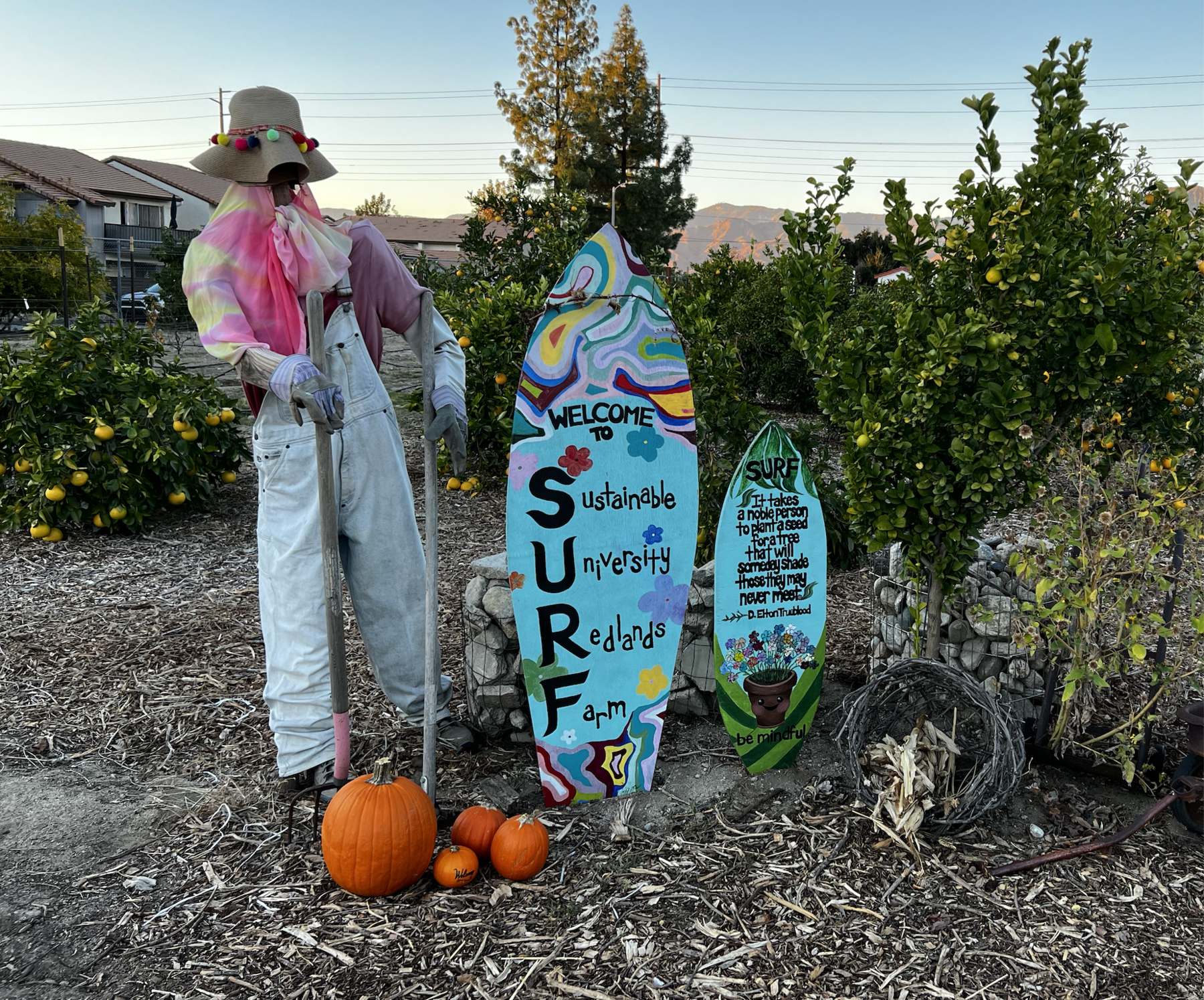 scarecrow next to two painted surfboards