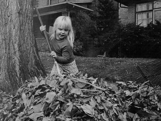A young girl raking leaves.