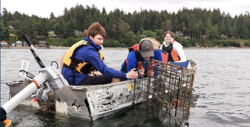 Students in a boat hauling in a crab pot.